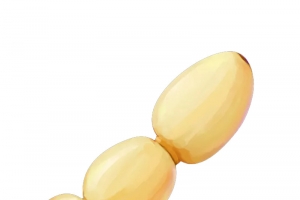 一节一节莲藕