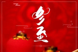 红色创意中国风水饺冬至海报