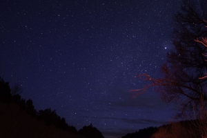 树木 夜晚 星空 树枝 黄昏 4k壁纸 3840x2160