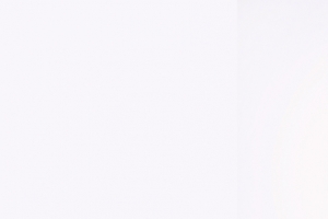 刘亦菲手拿鲜花3840x1080双屏壁纸