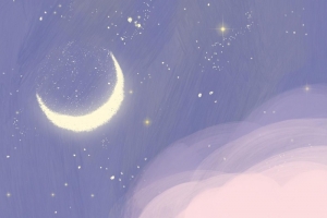 月亮的小星星们
