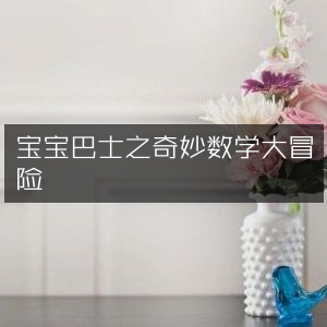 宝宝巴士，奇妙数学大冒险之旅
