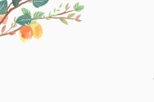 简约手绘水果