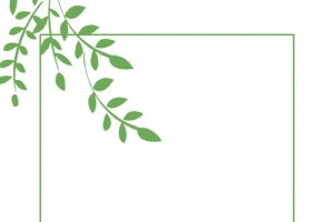 彩色创意植物叶子元素
