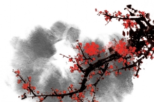 中国风古典国画晕染梅花