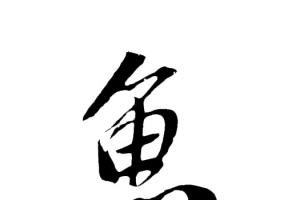 鱼毛笔字体