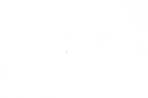 西瓜汁喷溅素材