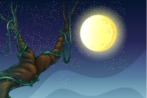 一个充满星星的夜晚