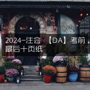 2024注会【DA】考前精粹十页纸