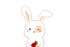 斑点小白兔坐着吃红萝卜插画