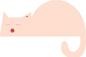 粉扑扑的小猫咪