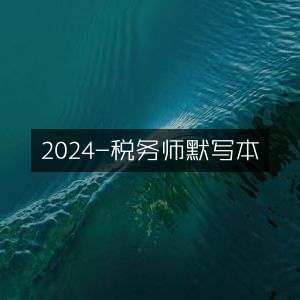 2024年税务师考试默写本