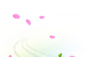 漂浮的粉色花瓣