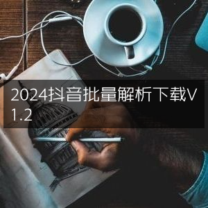 2024抖音视频批量解析下载工具V1.2