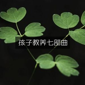 孩子成长教育指南，七步教养法 | 家庭生活书籍精选
