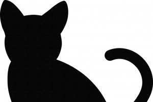 黑色猫咪剪影