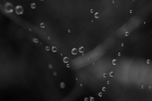 滴 水 宏 黑白 4k壁纸 3840x2160