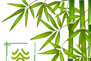 谷雨竹子元素