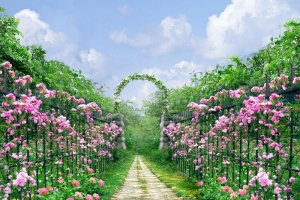 花林小路清新花卉风景平面广告