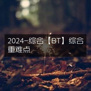 2024年BT综合重难点解析