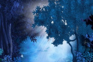 夜晚森林风景高清