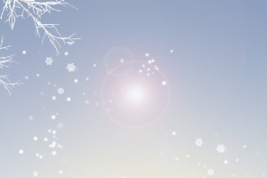 冬季暖阳景色阳光banner