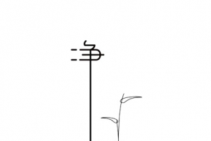 净字体设计