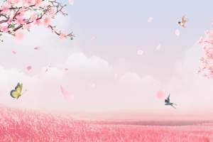 又一年樱花开粉色文艺banner