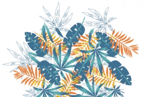 树枝花纹装饰元素图