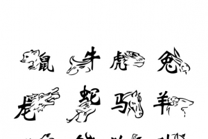 12生肖矢量