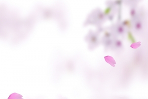 小清新唯美花瓣入水背景