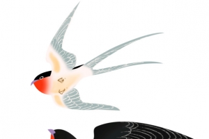 两只燕子清新立春春分节气插画