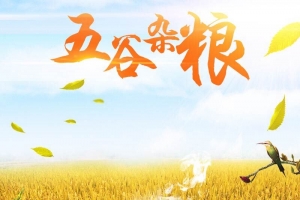 五谷杂粮食品促销主图