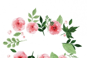 水彩手绘花朵