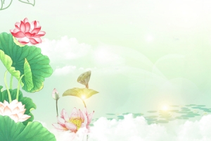 大暑荷花大气白云手绘绿色背景