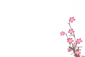立冬冬天梅花