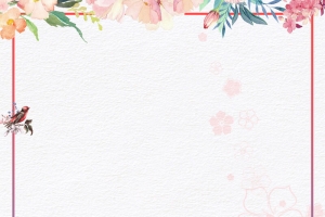 小清新简约花朵女装背景