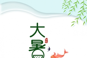 大暑夏天鲤鱼柳条荷花荷叶