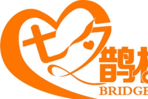 爱心橙色七夕鹊桥惠