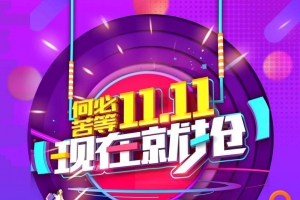 备战双11促销活动