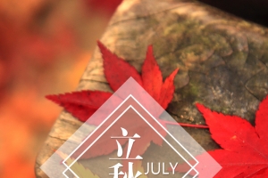 立秋小暑节气背景