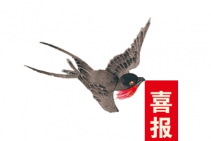 喜报素材