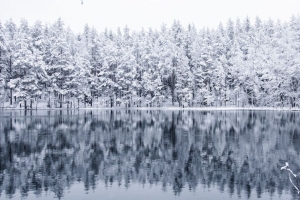 冬天 森林 湖泊 雪 反射 4k壁纸 3840x2160