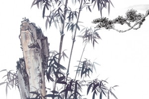 青山劲竹