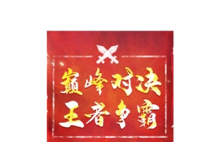 巅峰对决，对抗，对决，pk
