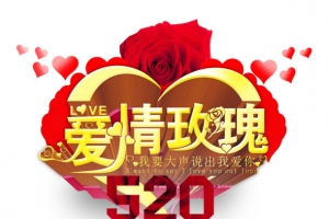 爱情玫瑰520