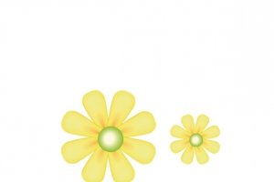黄色小花