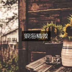 银海精微，古典文集精选