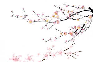 桃花免扣元素