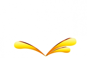 情人节图片设计素材高清PNG透明图免费下载